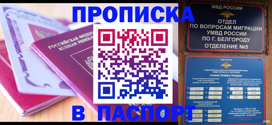 временная регистрация законно в Щёлково